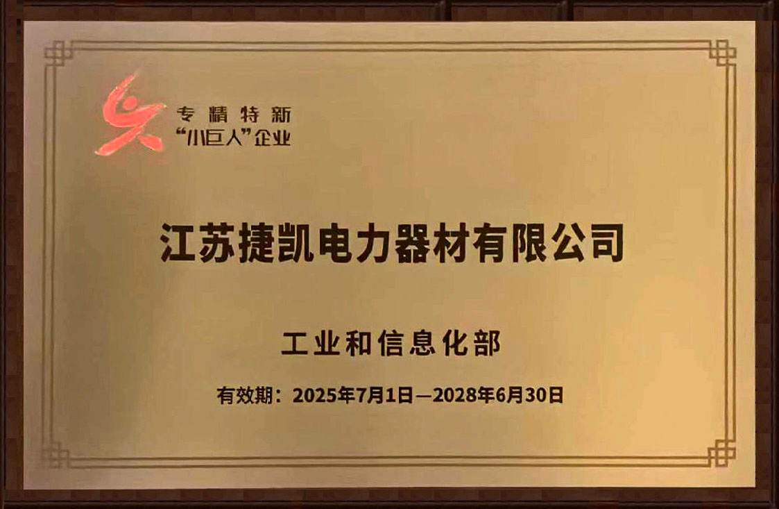 国家级专精特新”小巨人“企业